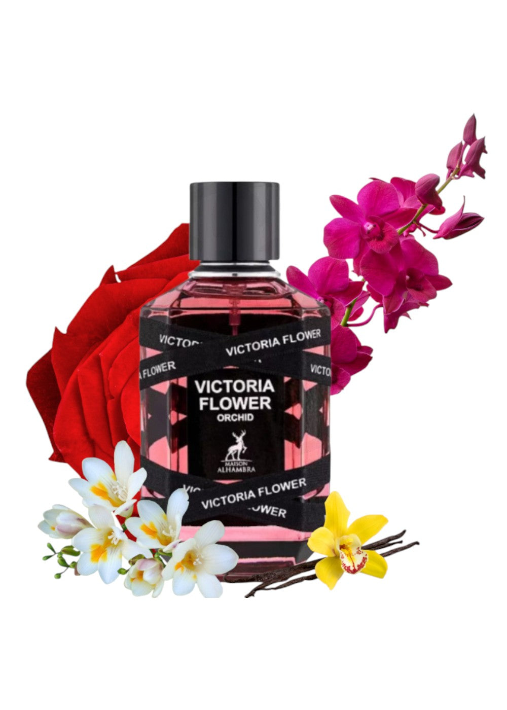MAISON ALHAMBRA VICTORIA FLOWER ORCHID 100ML