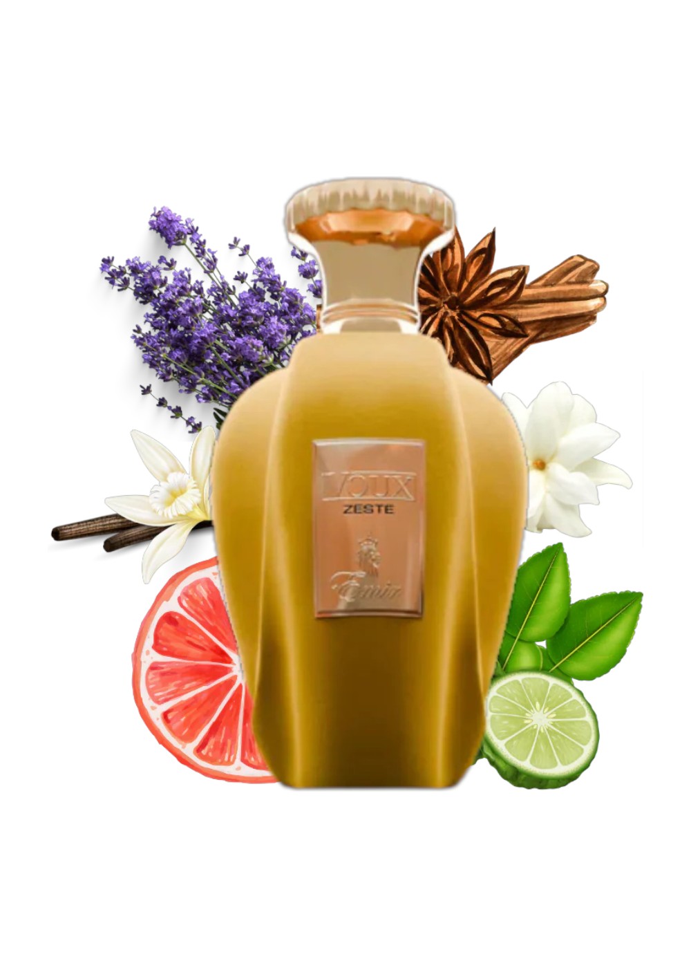 PARIS CORNER VOUX ZESTE 100ML