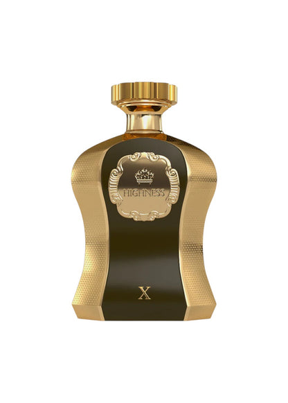 AFNAN HIGHNESS X 100ML