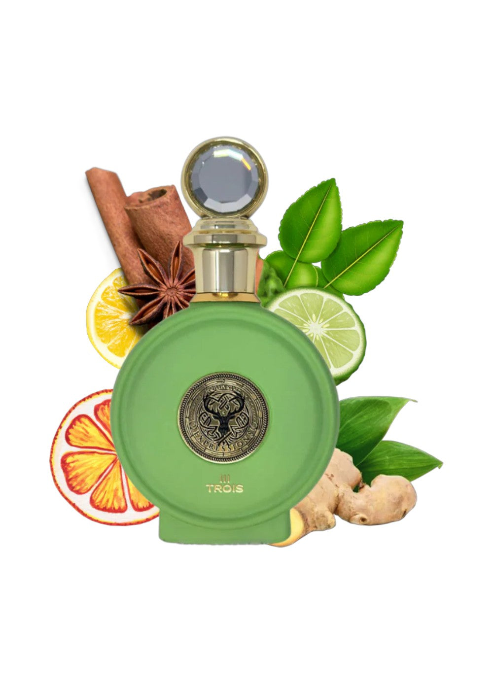 PARIS CORNER NORTH STAG EXPRESSION III TROIS 100ML