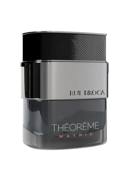 RUE BROCA THEOREME MATRIX EDP