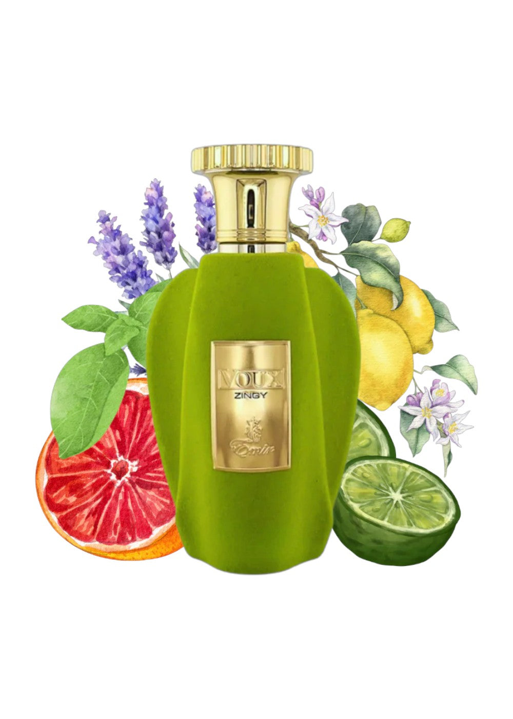 PARIS CORNER VOUX ZINCY 100ML