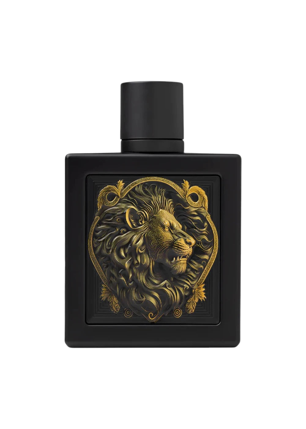 RAYHAAN LION